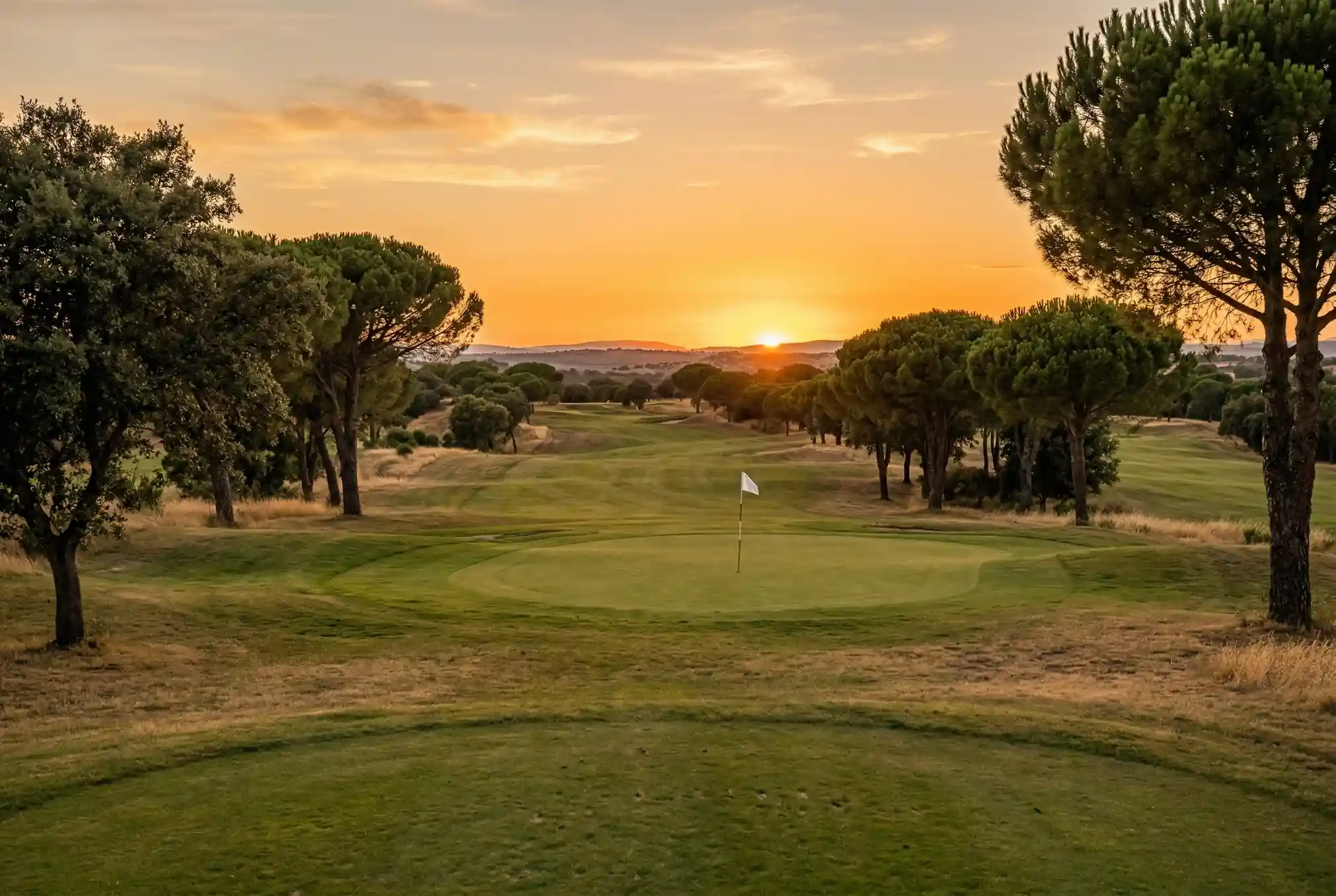 Perfil Apostador Golf España: Demografía y Afición